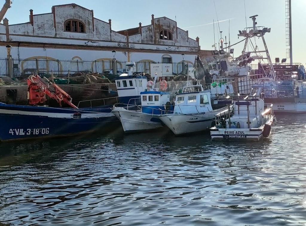 Excursiones en barco Isla Cristina