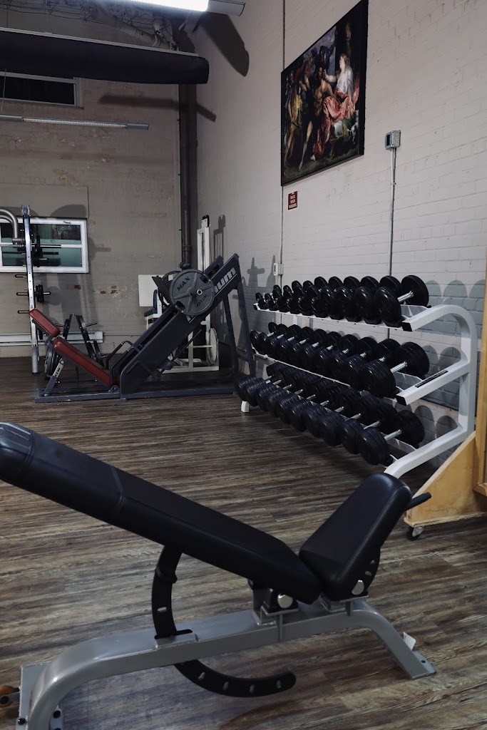  Downtown Iron Gym + Sauna/Cold Plunge