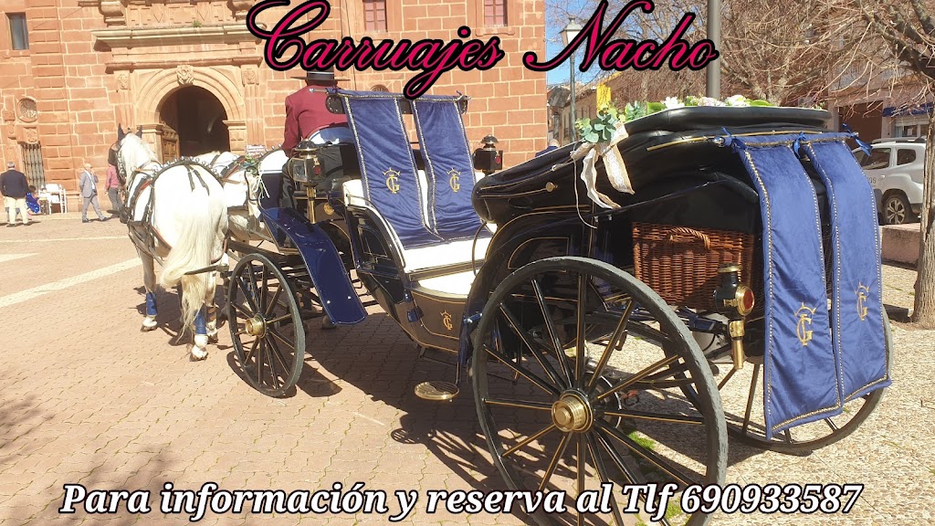 Coches de caballos carruajes Nacho