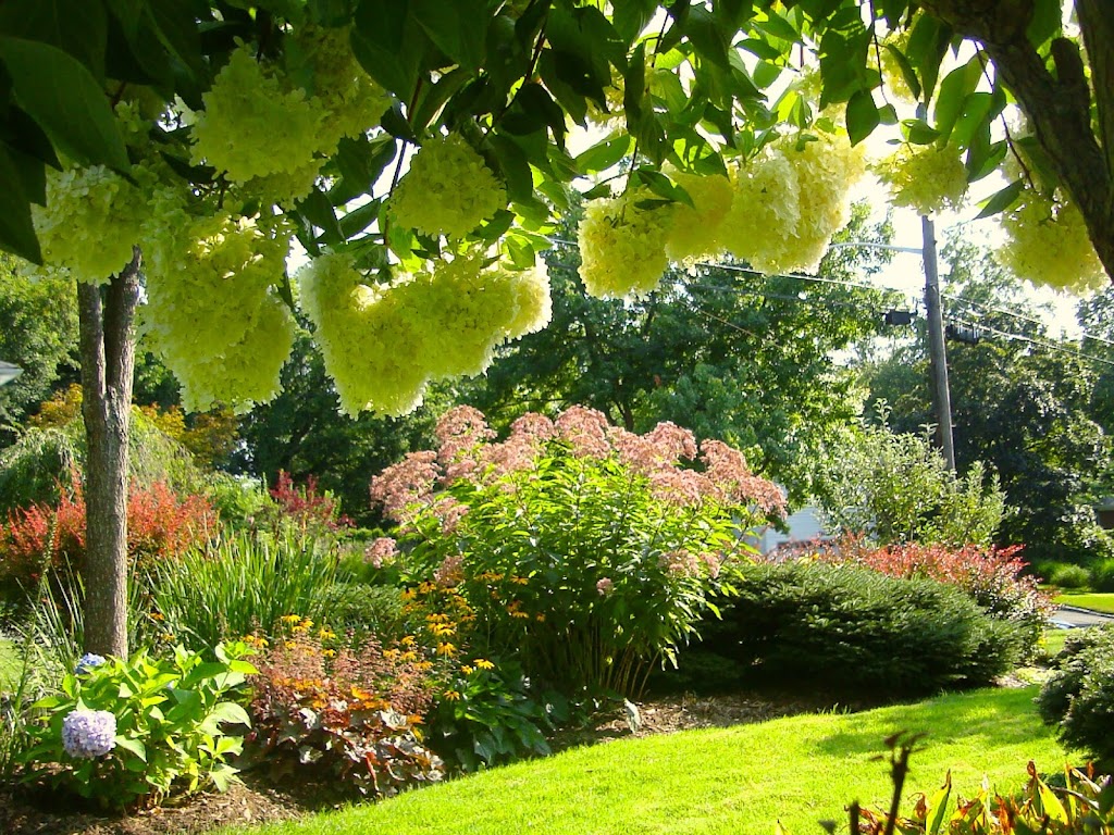Bellantoni Landscape in White Plains