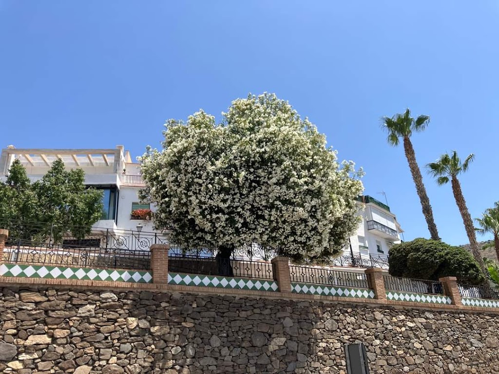 Jardines de las Moreras