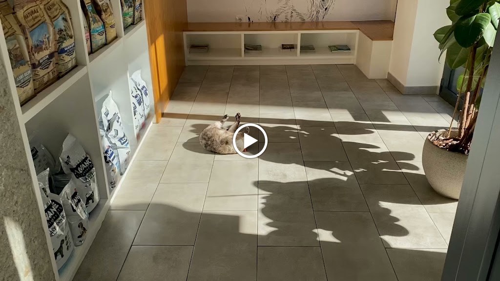 Sabuesos Clinica Veterinaria — Videos