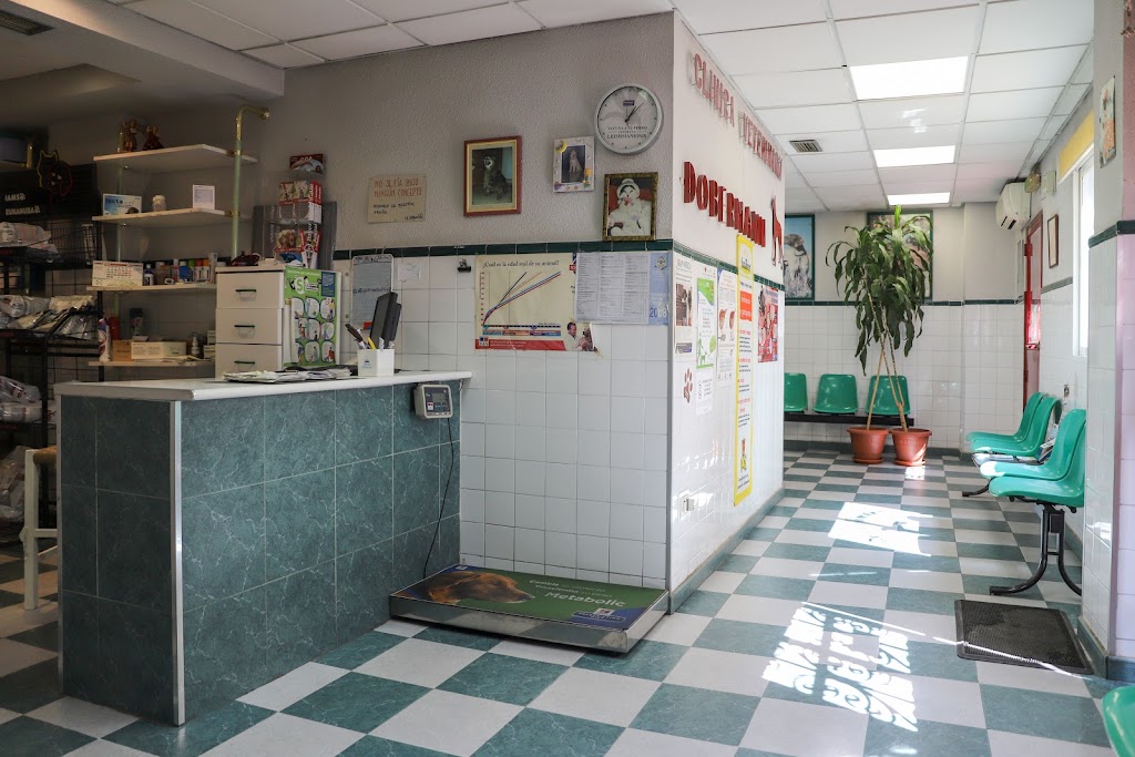 Clinica Veterinaria Dobermann I — Del propietario