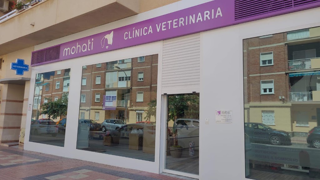 Clinica Veterinaria Mohati — Del propietario