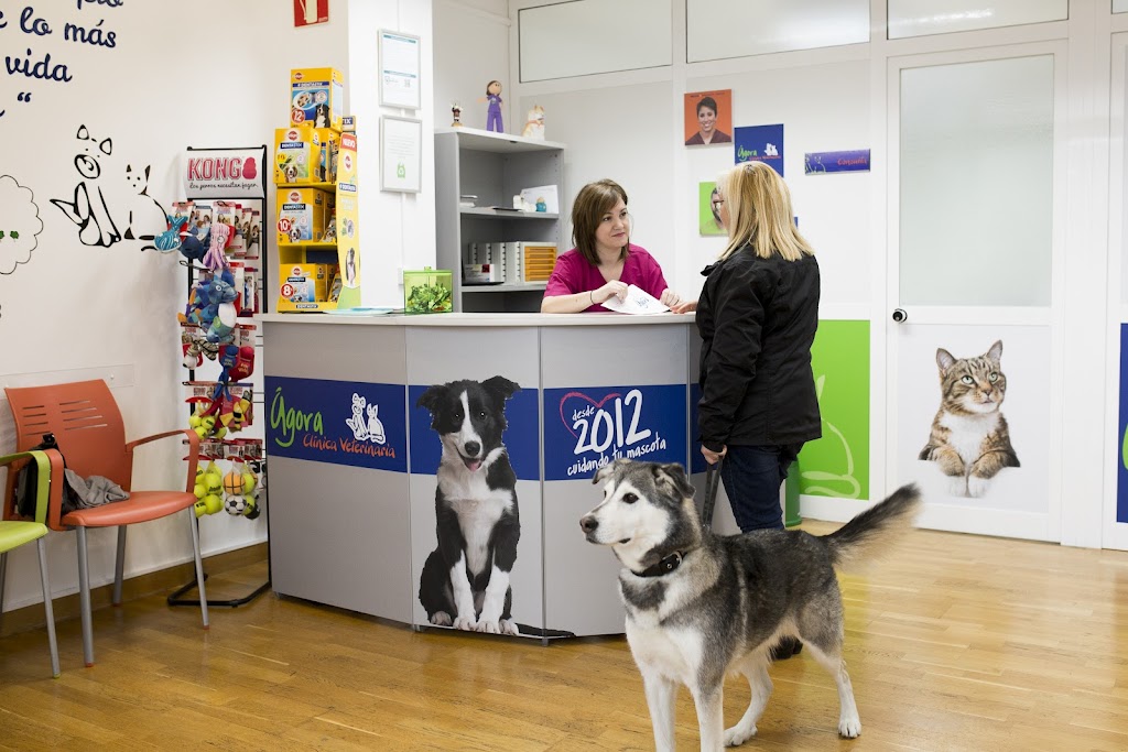 Agora Clinica Veterinaria