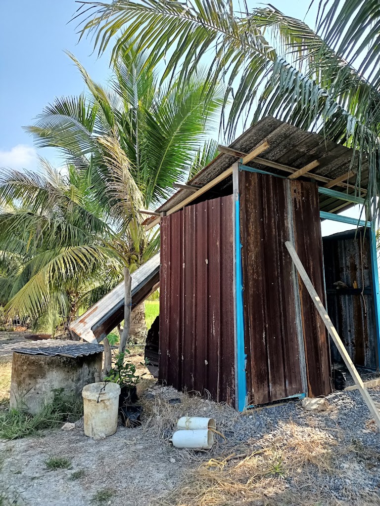 Kebon Kapcai Campsite