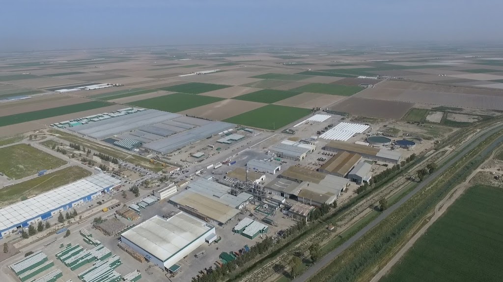 COOPERATIVA LAS MARISMAS DE LEBRIJA