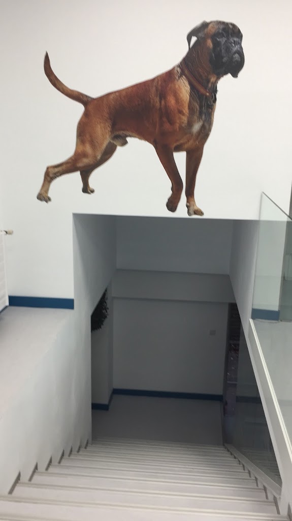 Hospital Veterinario Parque de Berlin — Del propietario