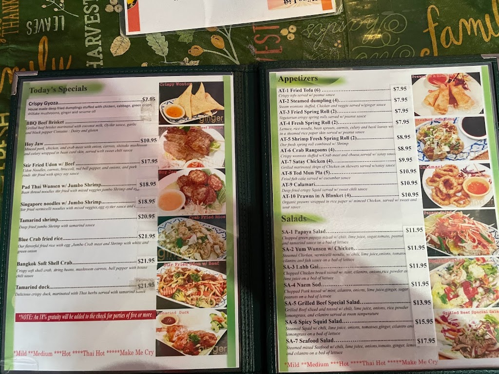 Ginger Thai