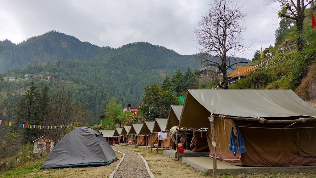 Lazy monk cafe and camps
