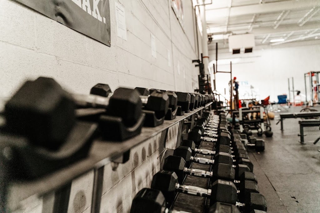  Kompf Training Systems