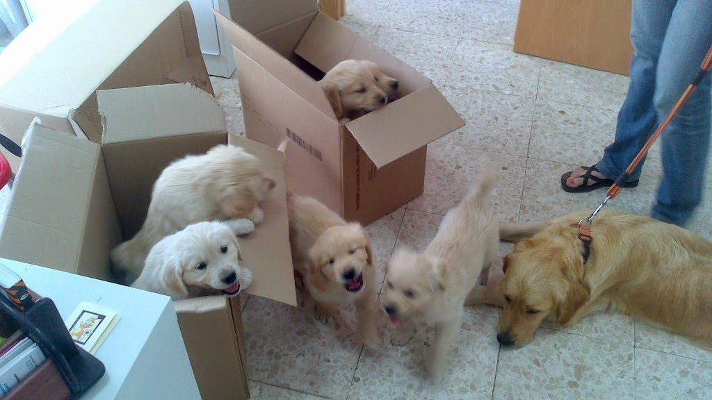 Consultorio Veterinario Nova