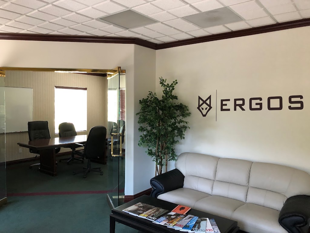 Ergos Technology Partners Inc