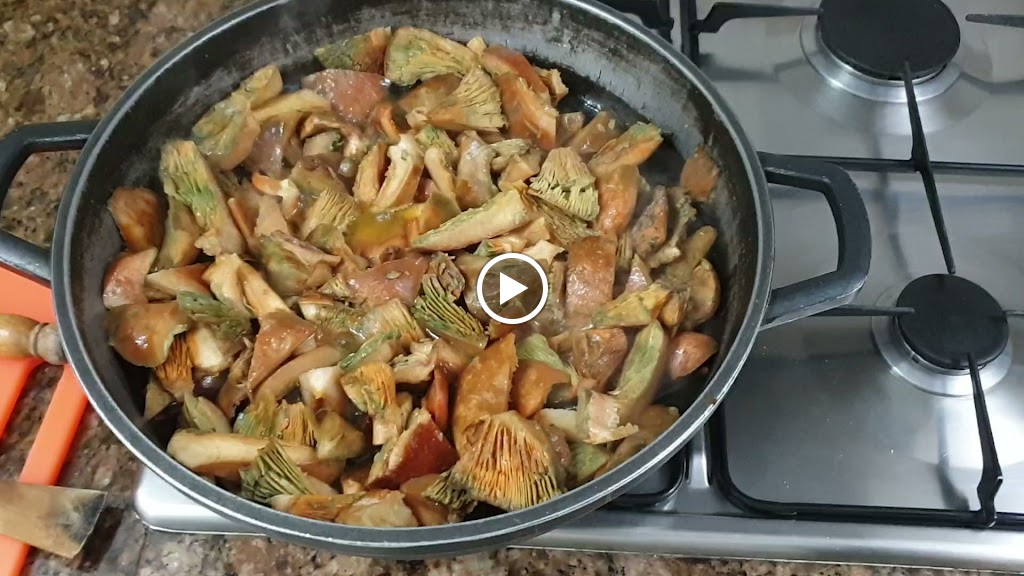 El Leon de la Tapa — Videos