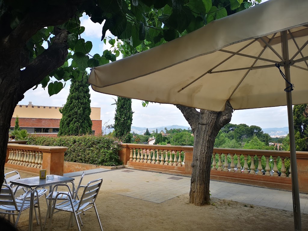 Nou Ginestar — Ambiente