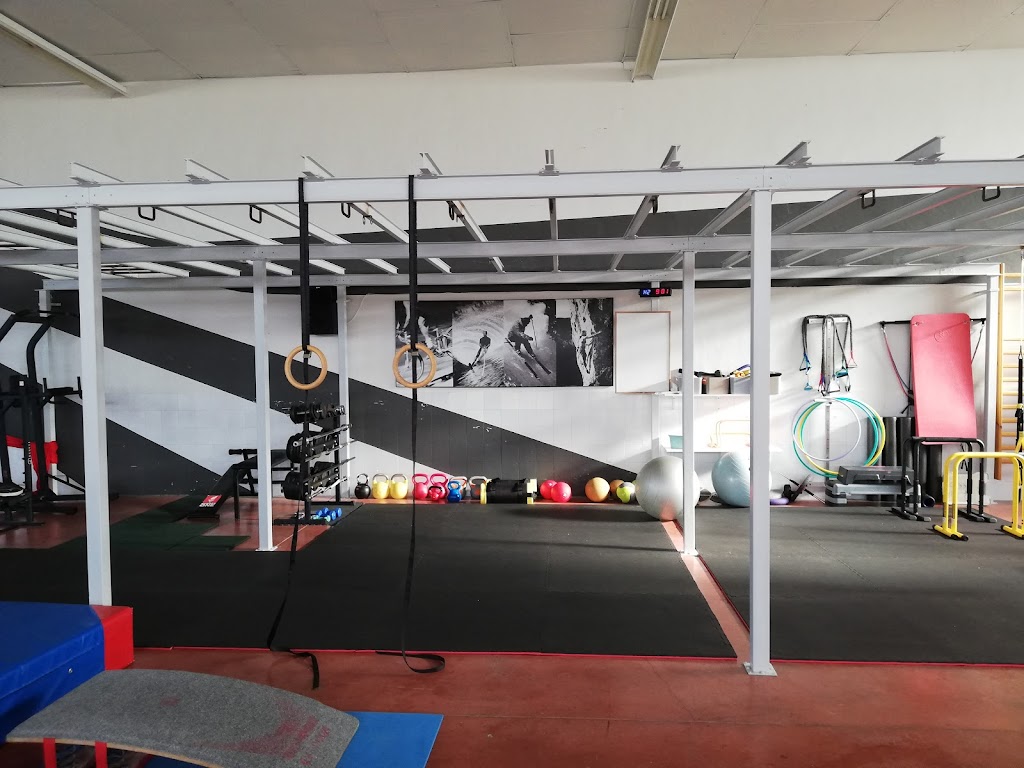 Club Gelx Gimnasia Artistica