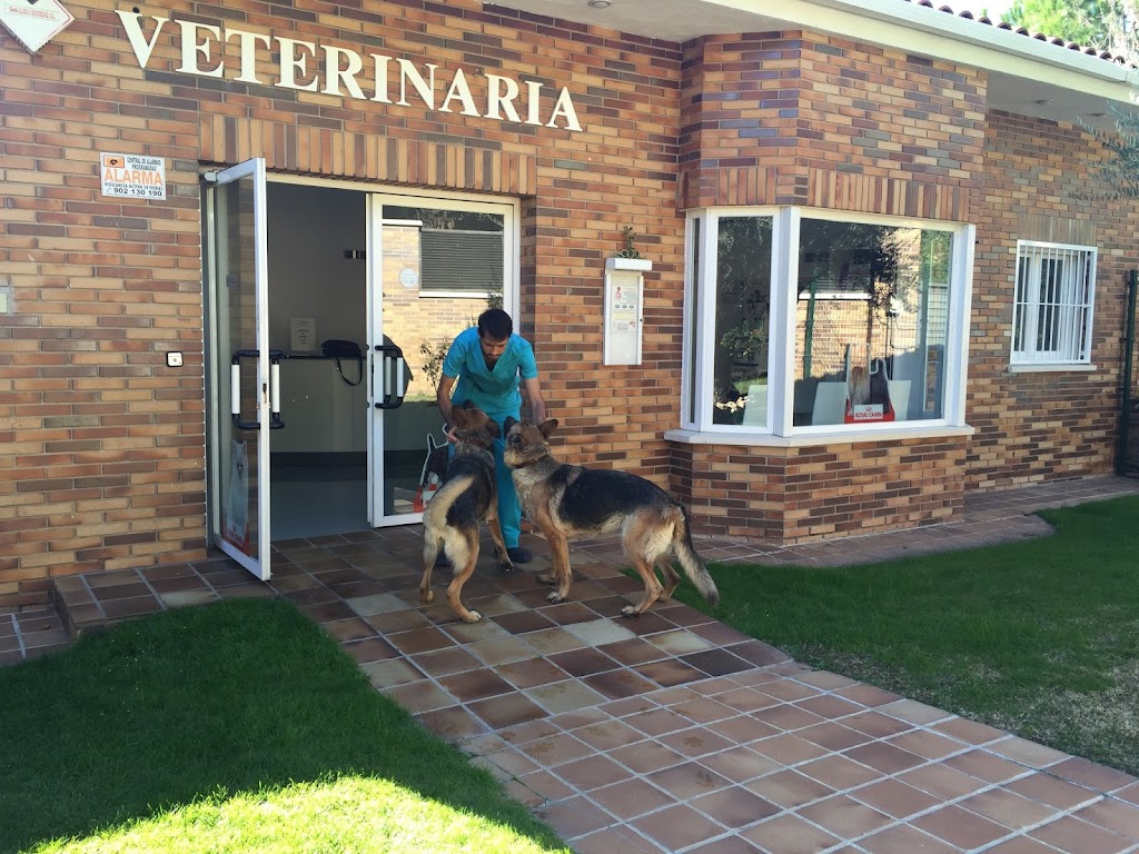 Clinica Veterinaria La Cornisa