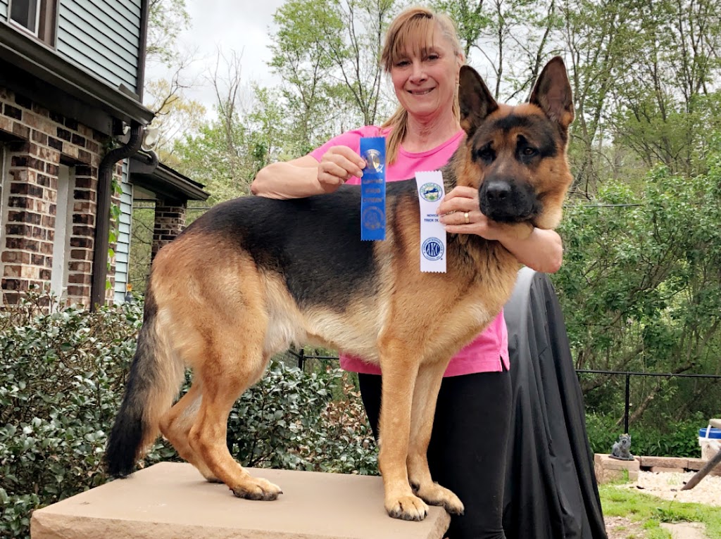  Carla's Dance Gym Center & Mumei Dojo