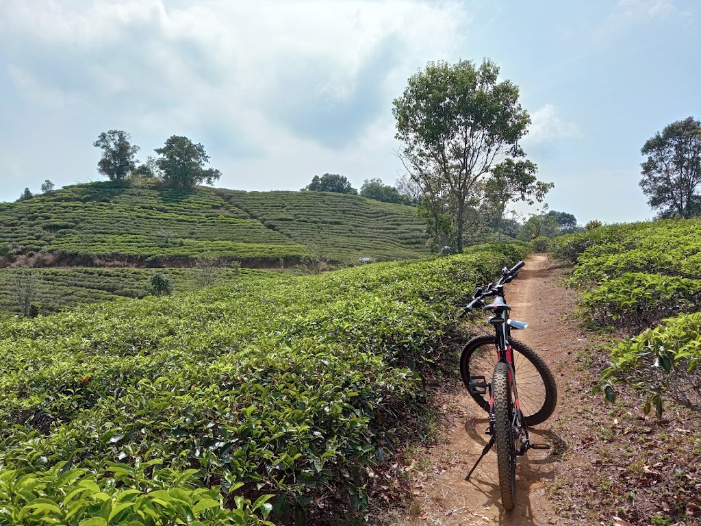 Cilantung Camping Ground