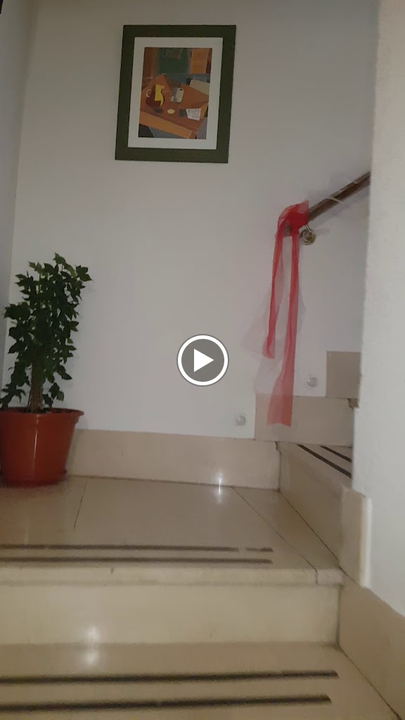 Bar Benidor — Videos