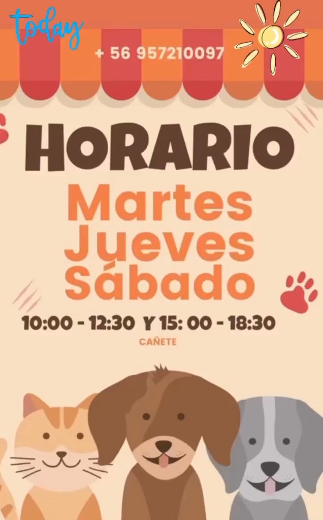 Perro