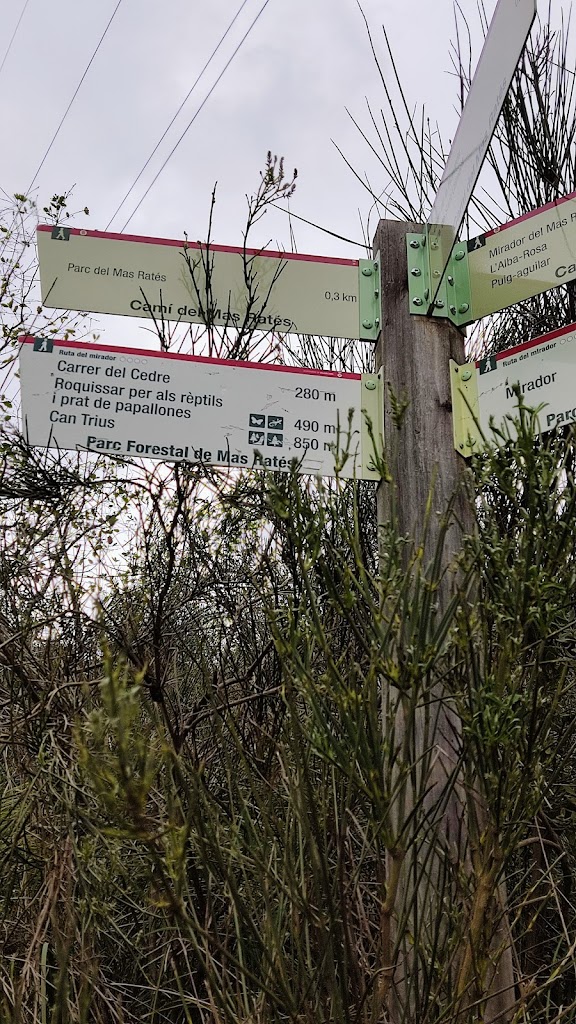 Parque Forestal del Mas Rates