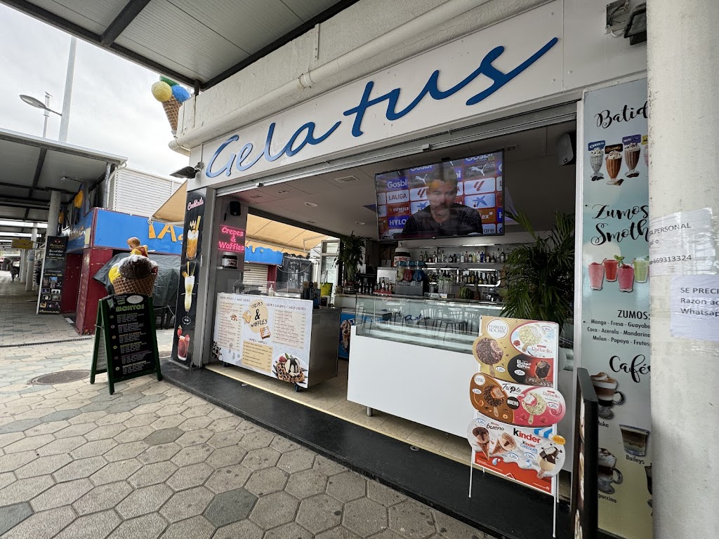 Gelatus gelateria La Pineda
