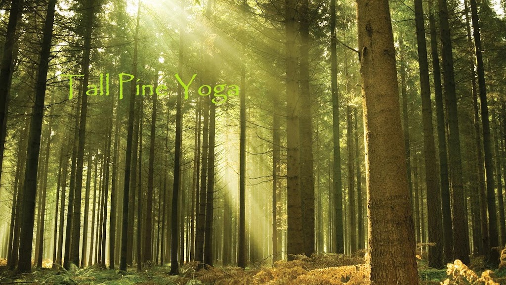  Tall Pine Yoga