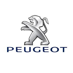Peugeot Riojana De Automocion — Del propietario