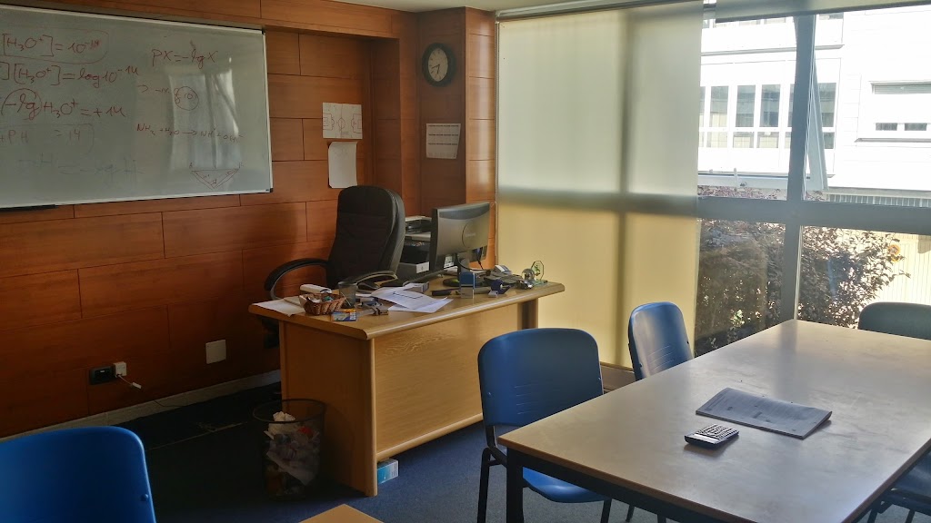 clases particulares flores