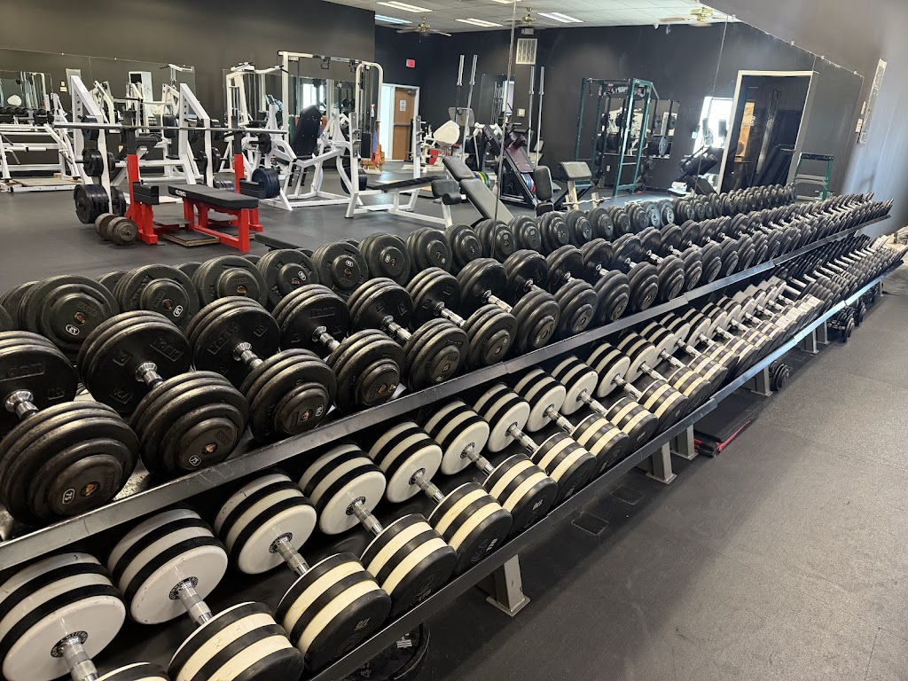  Black Flag Strength - York