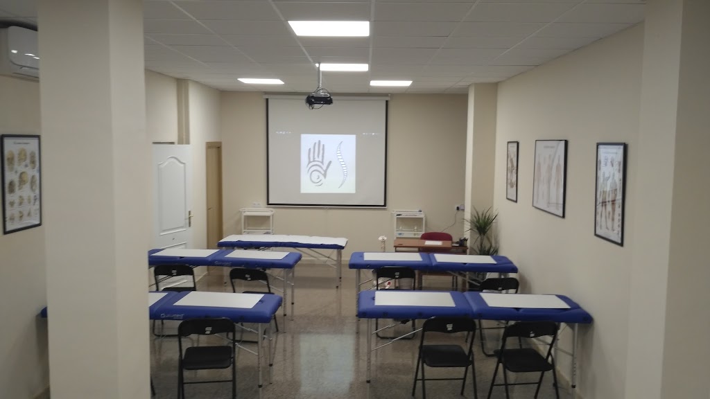 OsteoSilva - Escuela de Quiromasaje y Terapias Naturales.