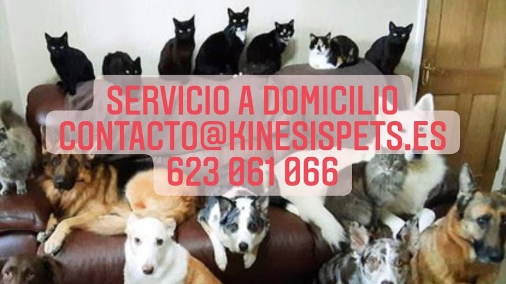 Kinesis Pets