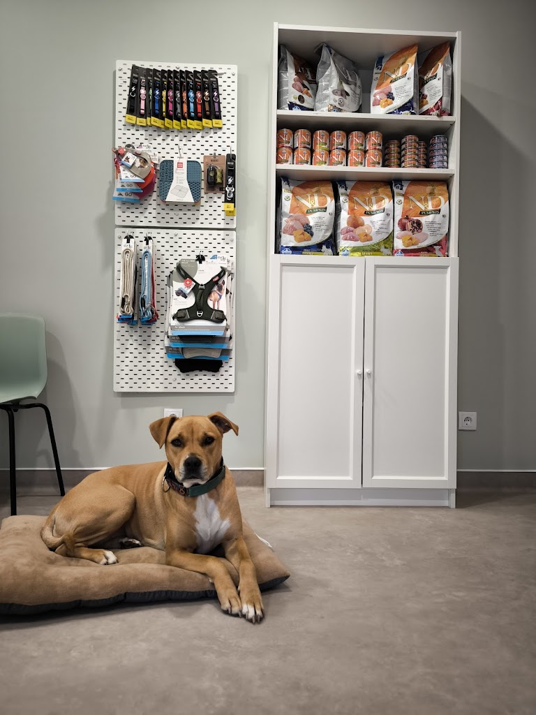 PetSteps - Consultorio Veterinario