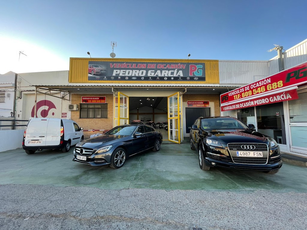 Automoviles Pedriauto Motors