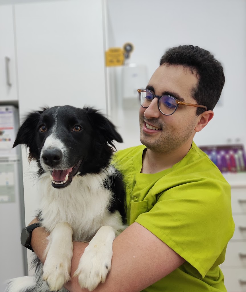 Clinica Veterinaria Arcadia — Perro