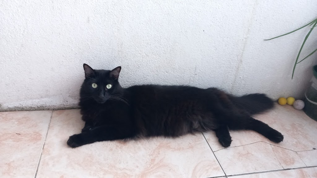 Foto da avaliação