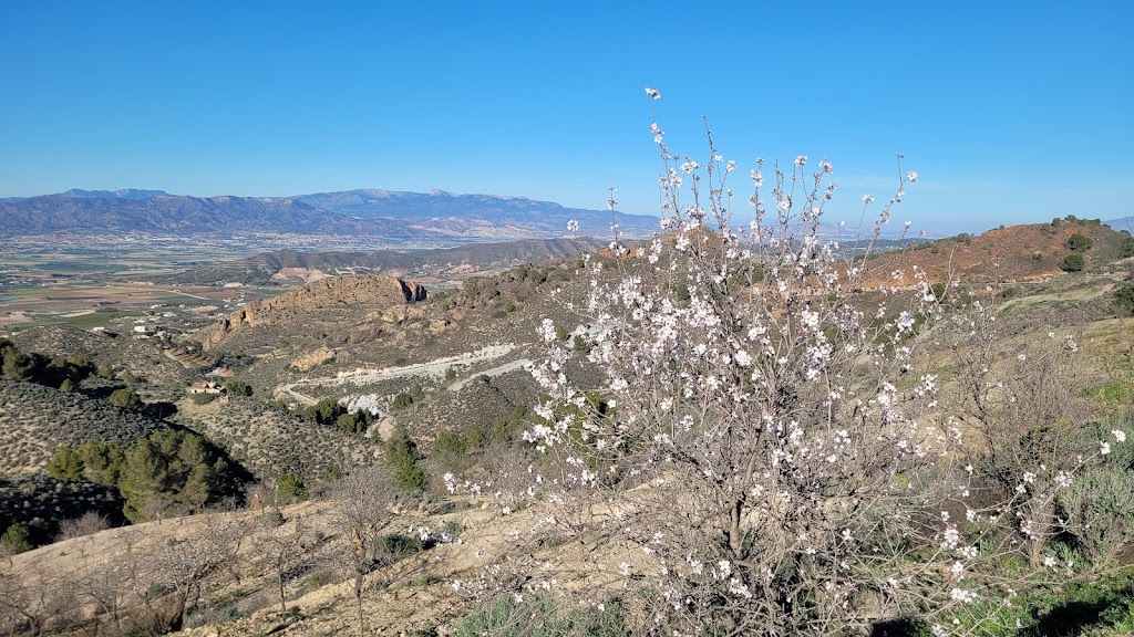 Alto de campo Lopez