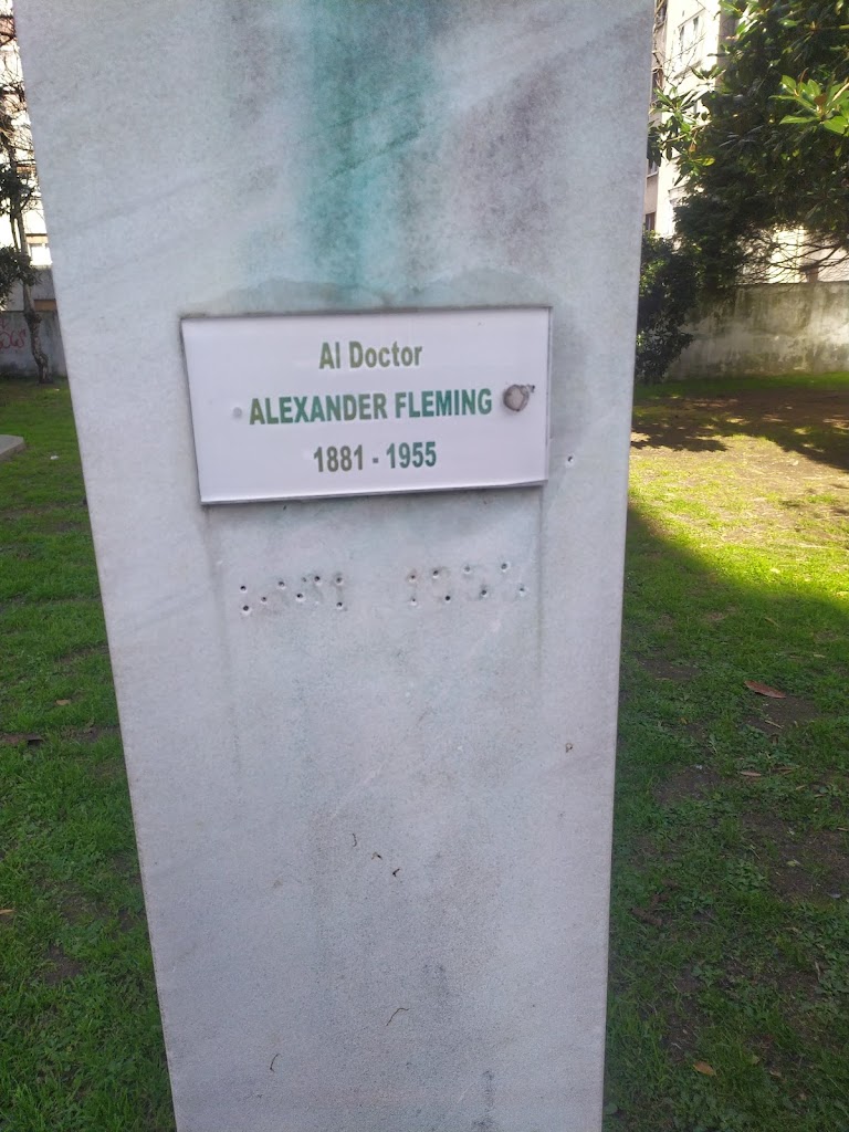 Monumento a Fleming