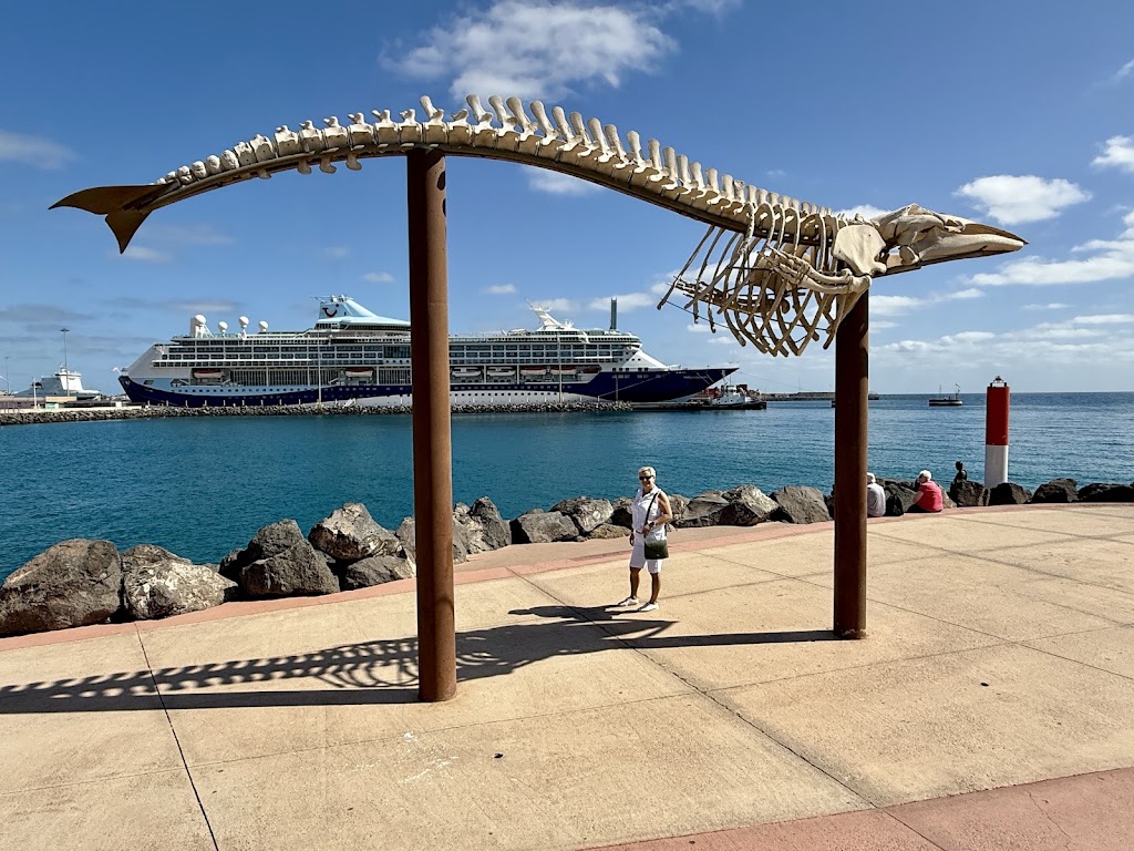 Escultura Puerto del Rosario — Mas recientes