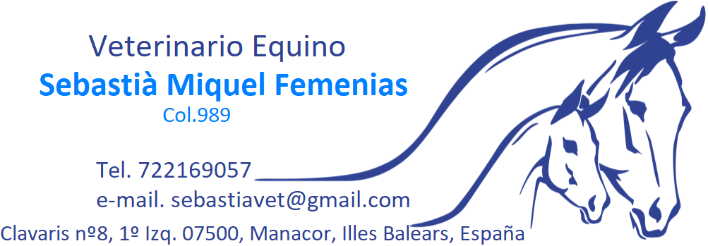 Veterinario Equino Sebastia Miquel — Del propietario