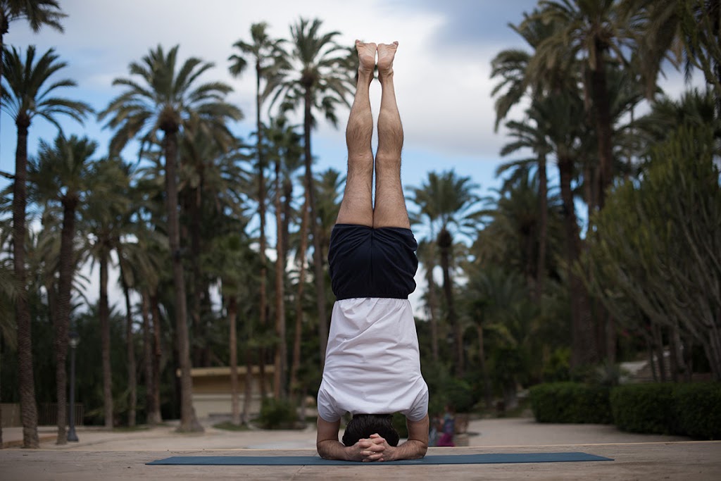 YogaElx. Yoga Elche Alicante. Centro de Yoga Iyengar