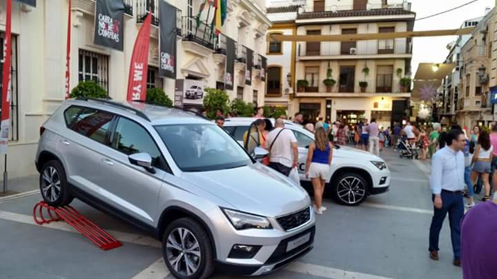 Domingo Ortiz Automocion