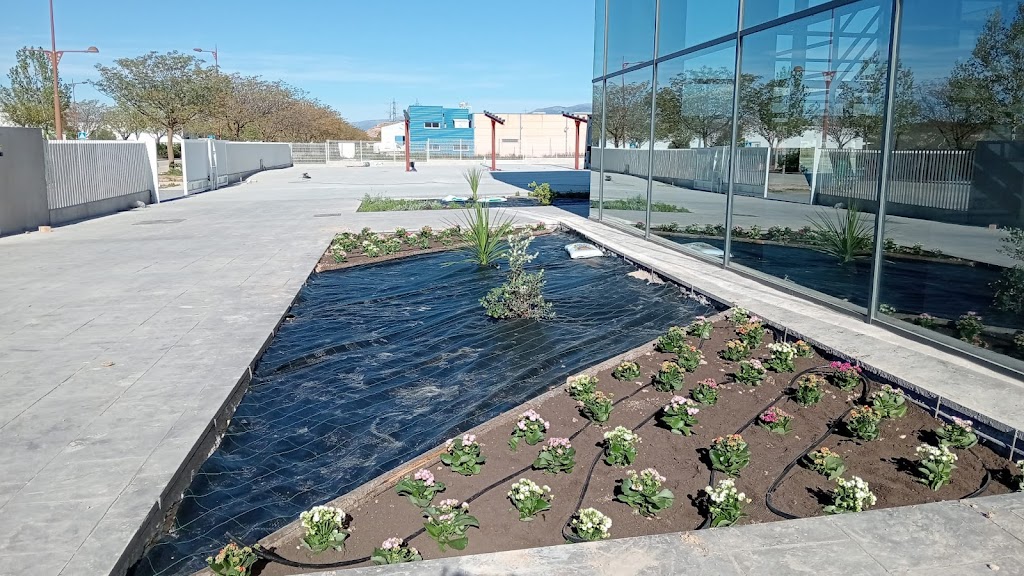 Praderas Verdes de Carmona