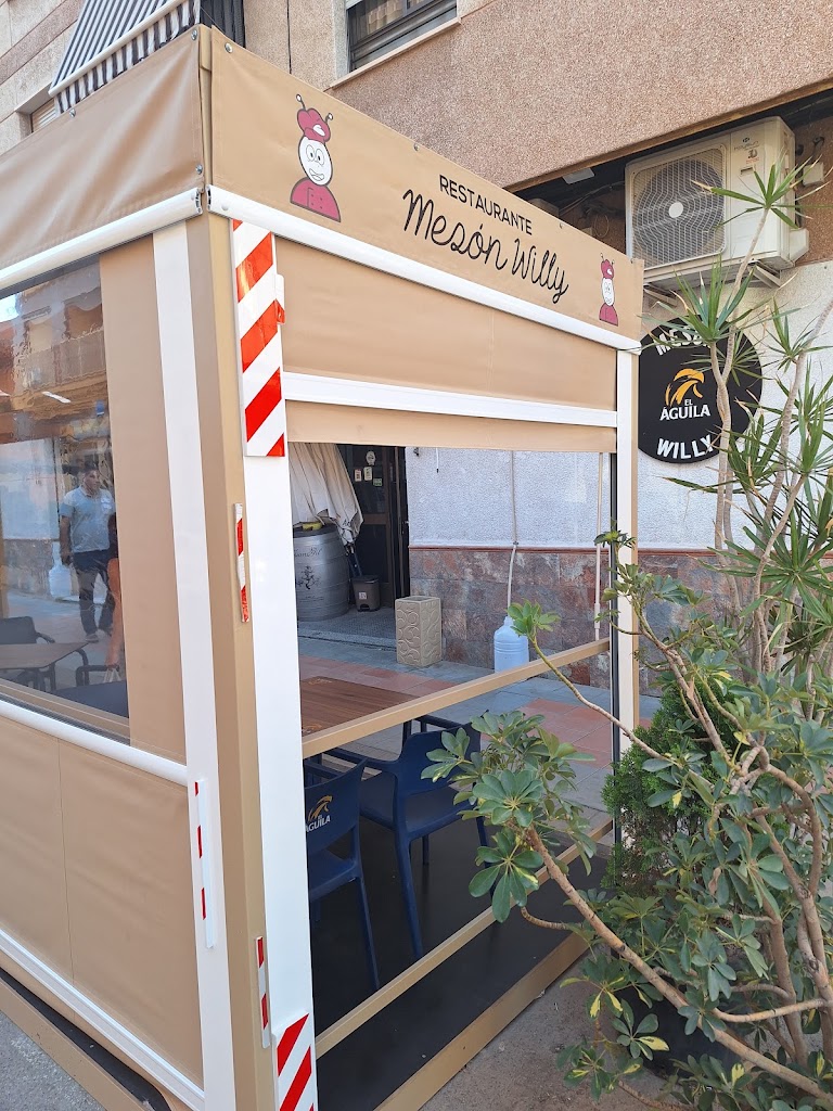 Meson Willy
