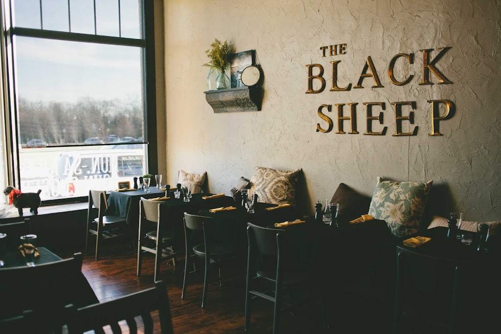  The Black Sheep