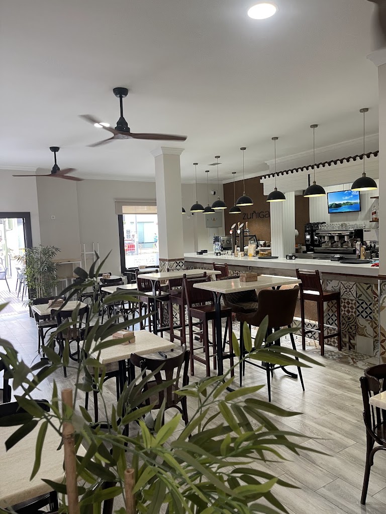 Zuniga — Ambiente