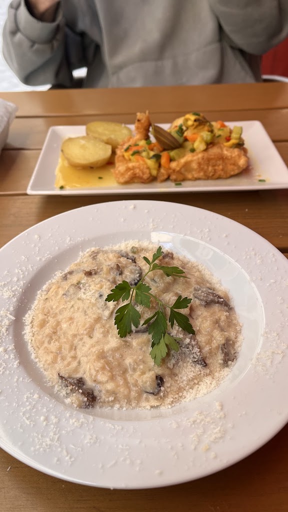 Restaurante La Retama — Mas recientes
