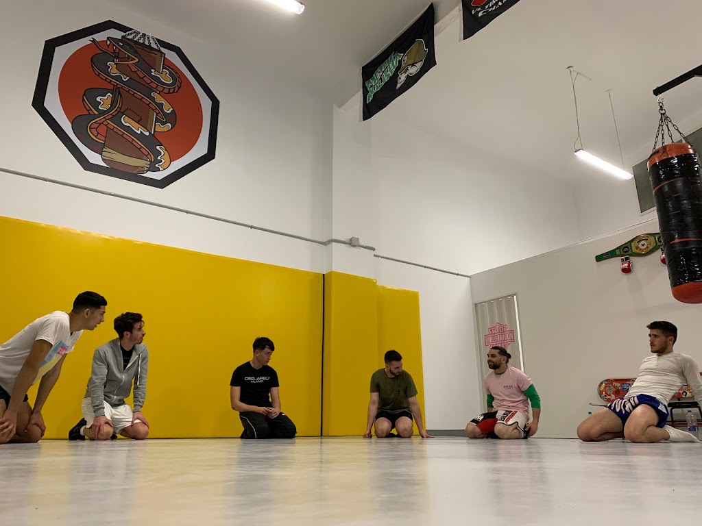 Hibera Ludus - Fight Academy