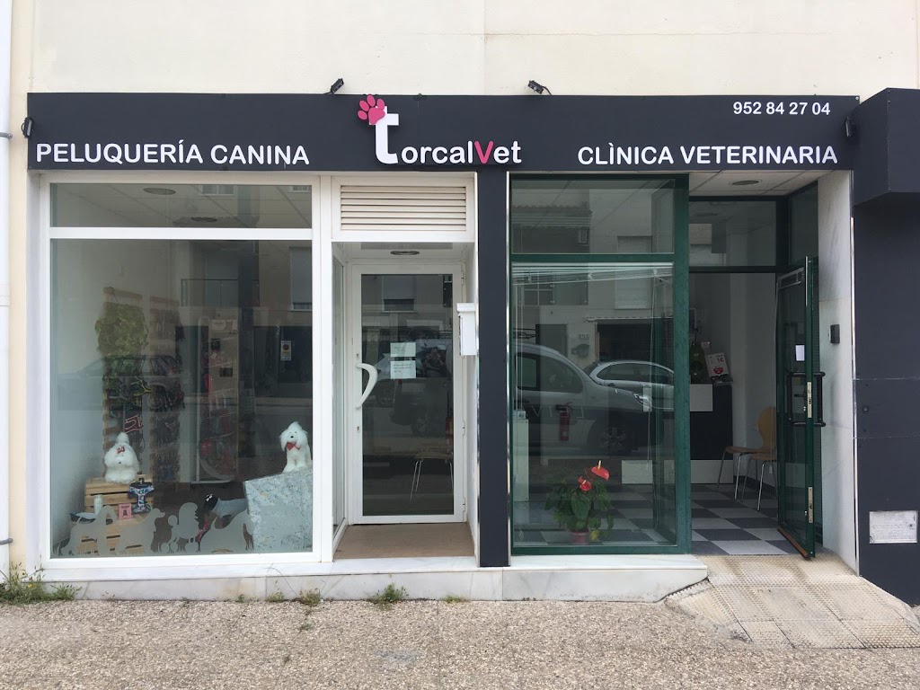 Torcalvet clinica veterinaria
